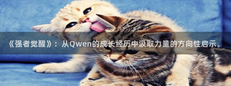 78动漫网下载